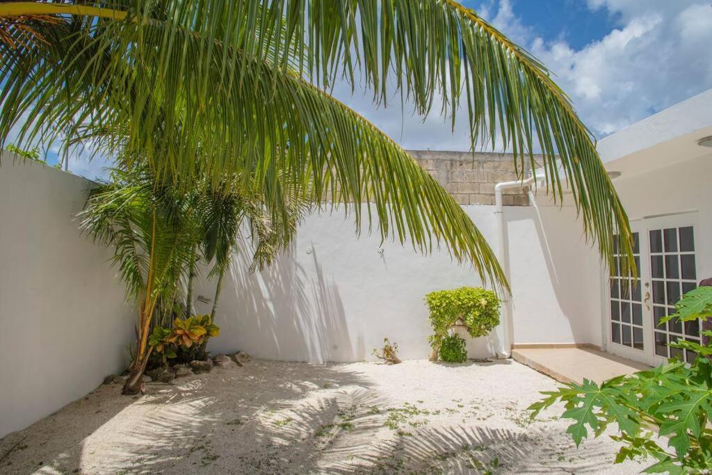 Casa Itzamna Βίλα Κοζουμέλ Εξωτερικό φωτογραφία